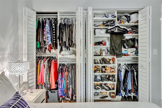 view of closet