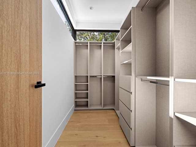 walk in closet featuring light wood finished floors