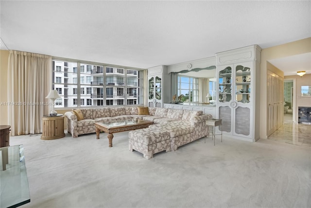 living room with carpet floors and a healthy amount of sunlight