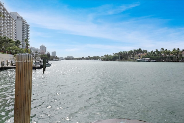 exterior space with a water view and a dock