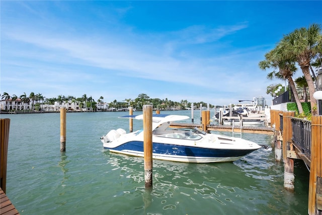 dock area with a water view