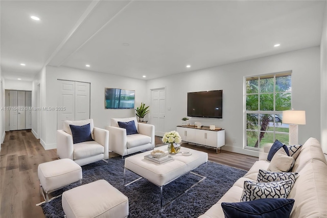 living room featuring dark wood-type flooring