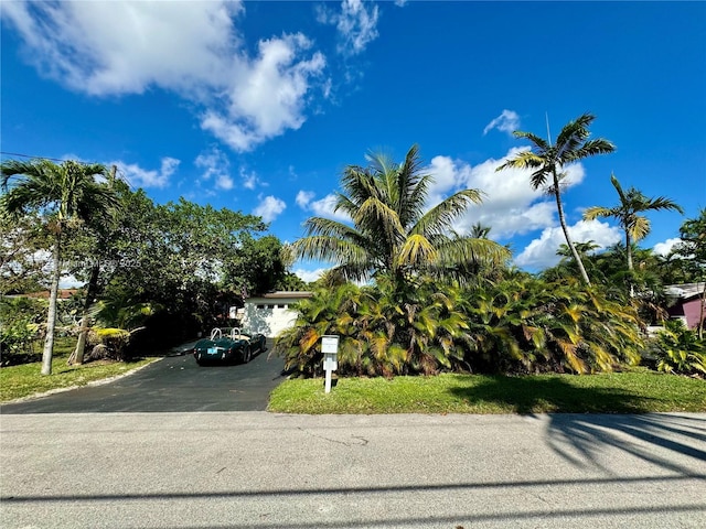 view of property hidden behind natural elements