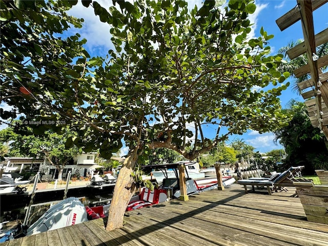 view of dock