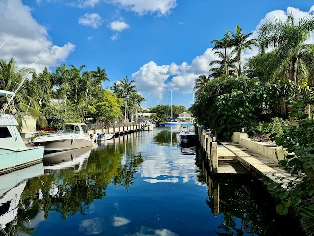 dock area featuring a water view