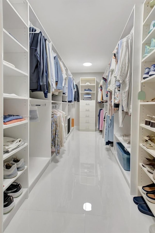 view of spacious closet