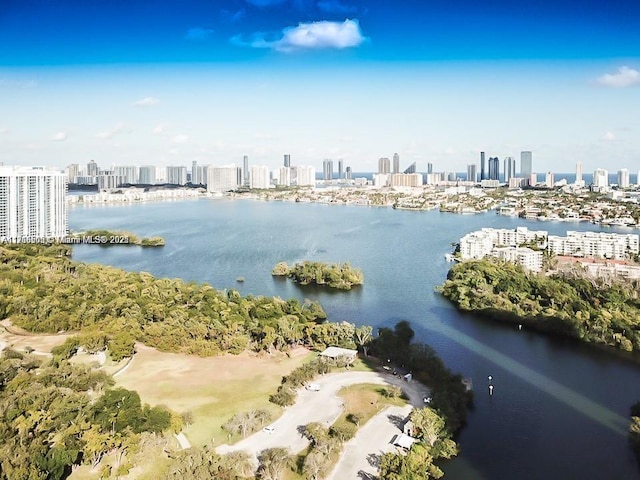 16385 Biscayne Blvd Unit 719, North Miami Beach, FL 33160 - photo 21