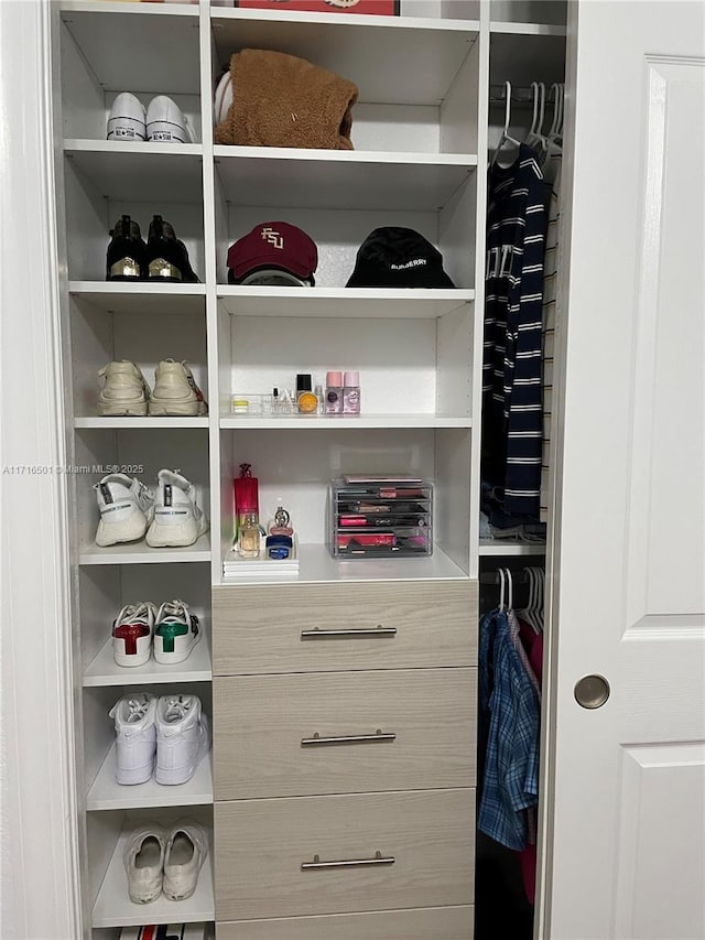 view of closet