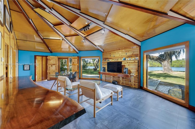 living room featuring wooden walls and rail lighting