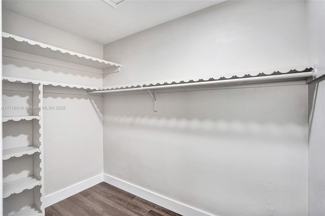 walk in closet featuring dark wood-style floors