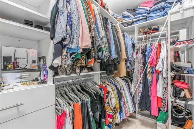 spacious closet featuring wood-type flooring