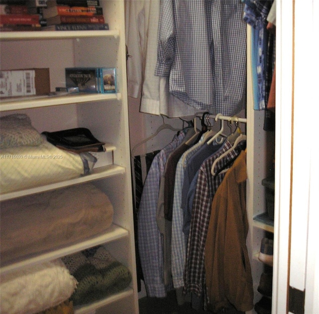 view of walk in closet