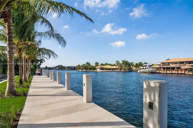 dock area with a water view