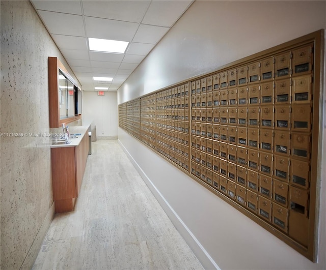 hallway with a drop ceiling, a mail area, and light hardwood / wood-style floors