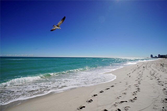 water view with a beach view