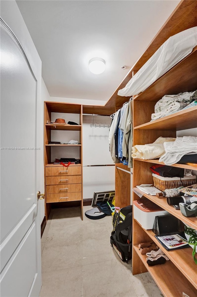 view of spacious closet