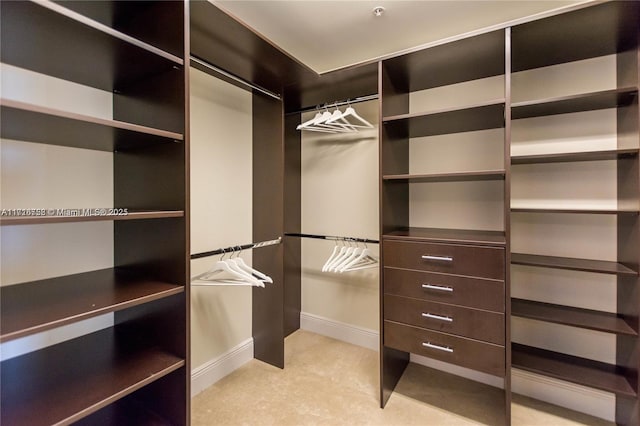 view of spacious closet