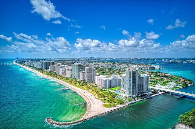 drone / aerial view with a water view and a view of the beach