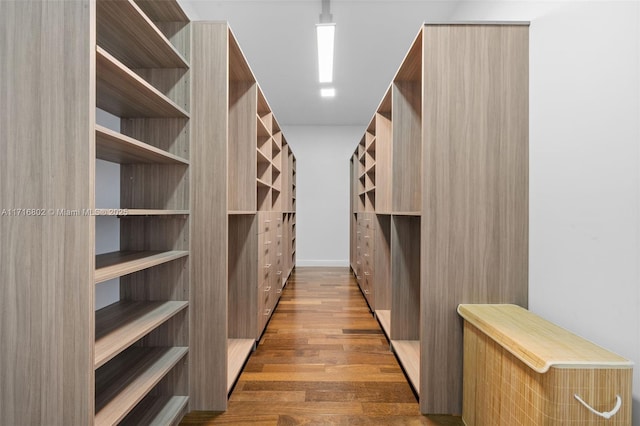 walk in closet with dark hardwood / wood-style floors