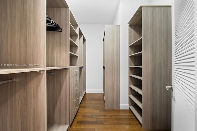 walk in closet with dark hardwood / wood-style flooring