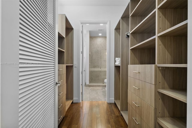 spacious closet featuring dark hardwood / wood-style flooring