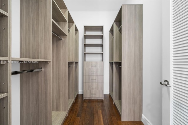 spacious closet with dark wood-type flooring