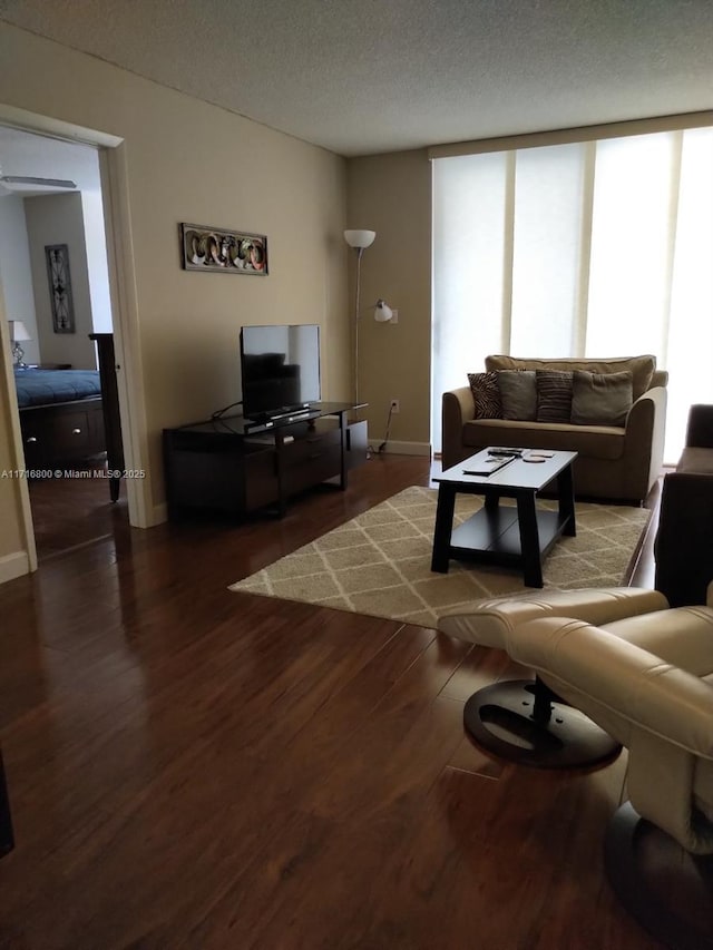 living room featuring a textured ceiling and hardwood / wood-style flooring