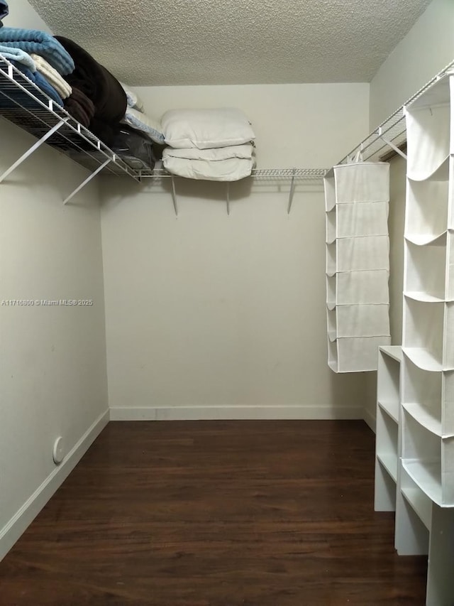 walk in closet featuring dark hardwood / wood-style flooring