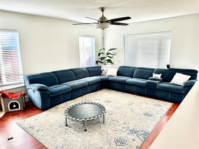 living room with ceiling fan and dark hardwood / wood-style flooring