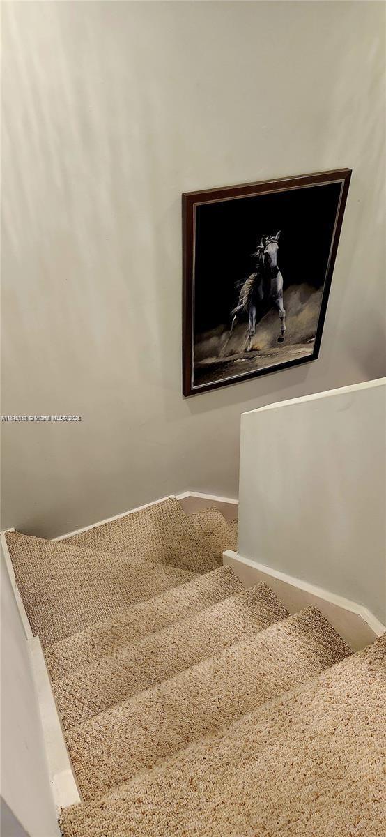 staircase with carpet