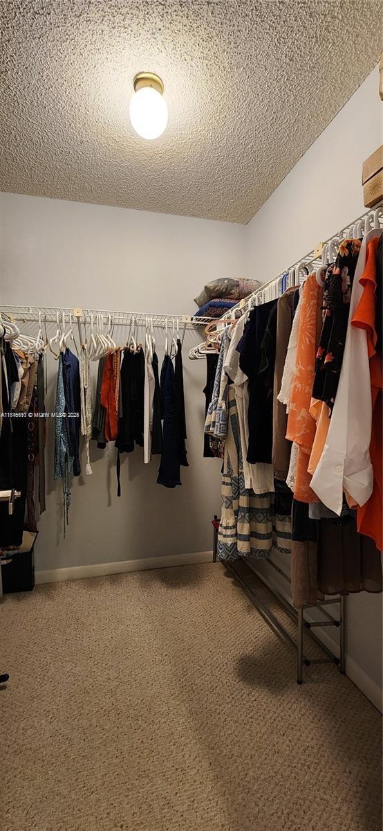 walk in closet featuring carpet floors