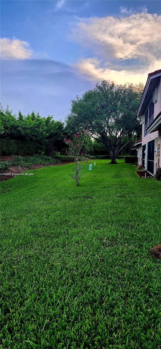 view of yard at dusk