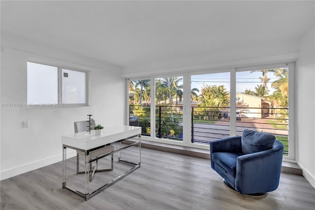 interior space with hardwood / wood-style floors and a healthy amount of sunlight