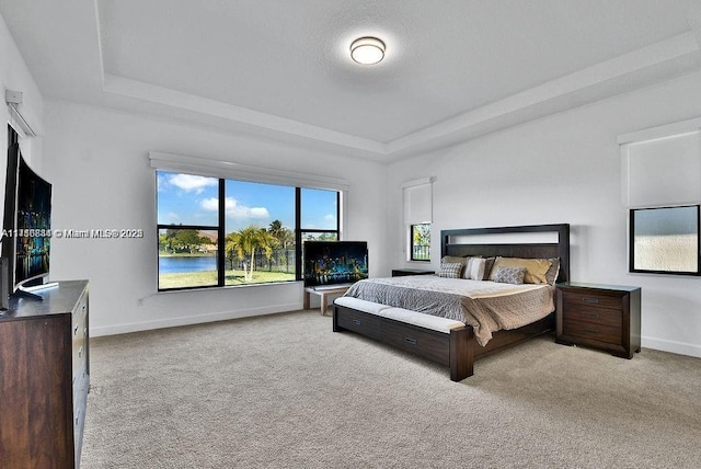 carpeted bedroom with a raised ceiling