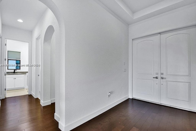 foyer featuring sink and dark wood-type flooring