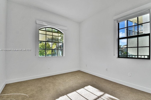 empty room featuring carpet