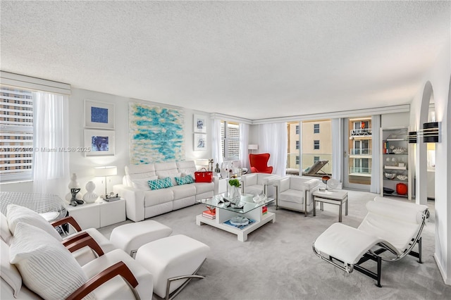 carpeted living room with a textured ceiling