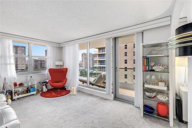 living area with carpet flooring, a textured ceiling, and a healthy amount of sunlight