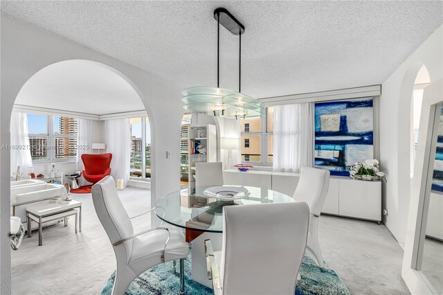 dining room with a textured ceiling and light carpet