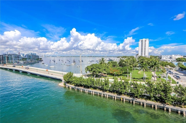 bird's eye view featuring a water view and a city view