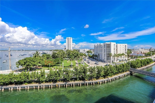 aerial view with a water view