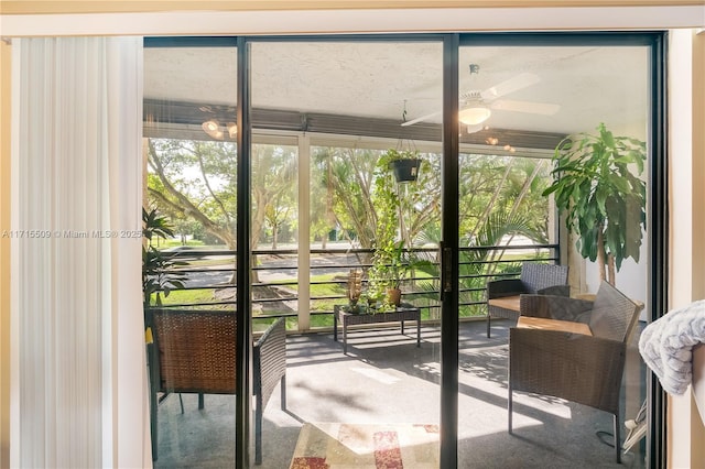 doorway featuring carpet flooring, a wealth of natural light, and ceiling fan