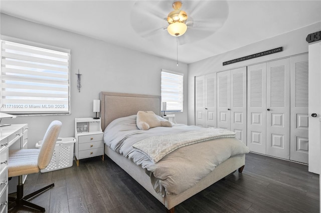 bedroom featuring ceiling fan, dark hardwood / wood-style flooring, and a closet