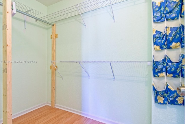 spacious closet featuring wood-type flooring