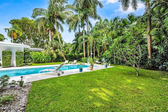 view of pool with a lawn and a patio