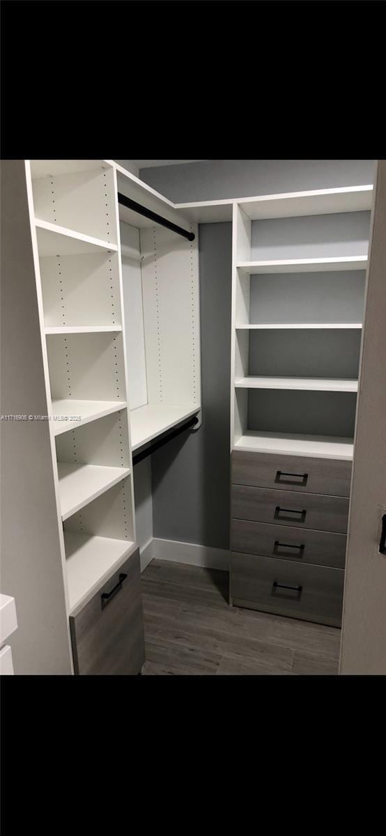 spacious closet with dark hardwood / wood-style flooring