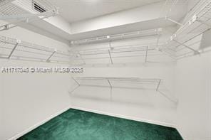 spacious closet featuring carpet floors