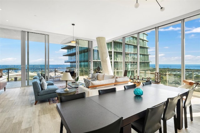 dining space featuring expansive windows, a water view, plenty of natural light, and light hardwood / wood-style flooring