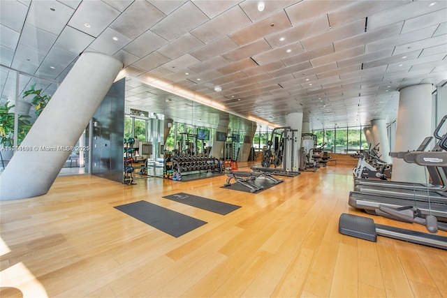 workout area featuring hardwood / wood-style flooring