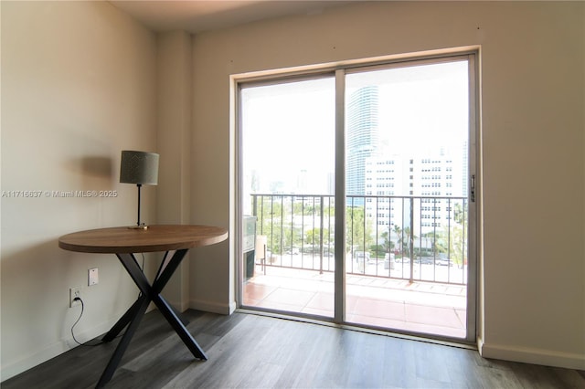 entryway with a wealth of natural light and wood-type flooring